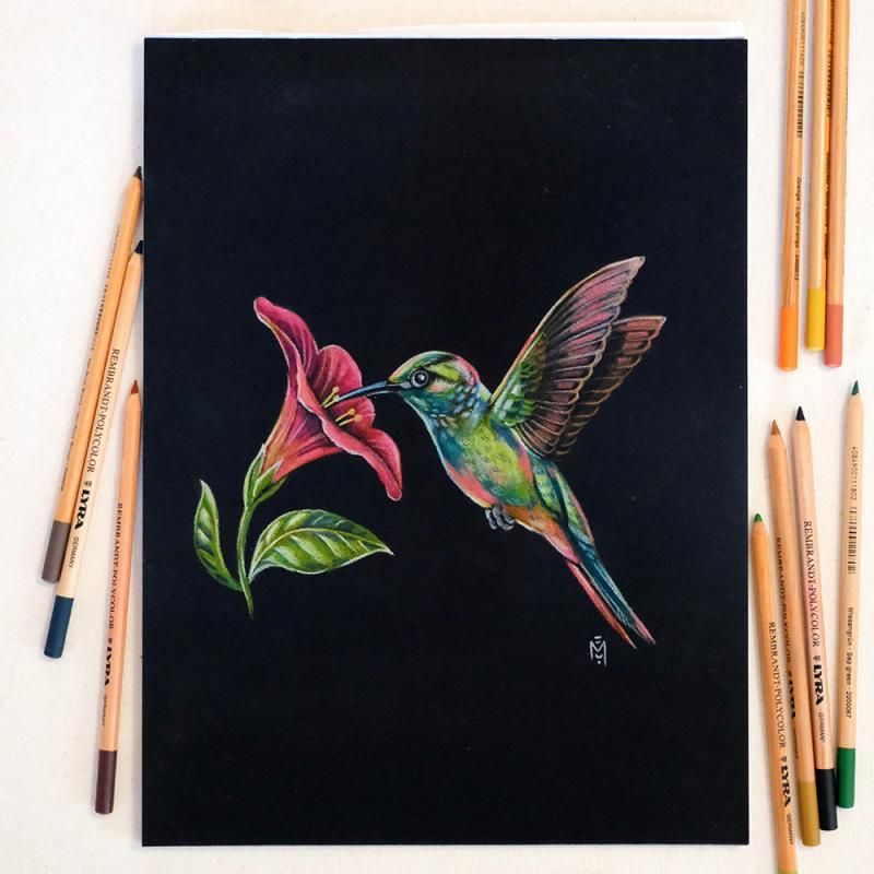COLIBRI de Marie-Eva Peltier